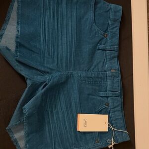 Carve Designs Blue Women Shorts